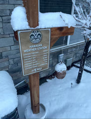 A Honu Day Hawaiian Weather Station