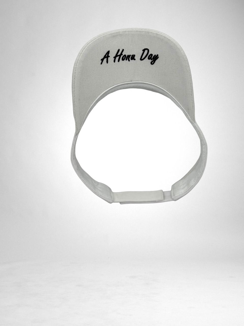 A Honu Day Signature Series Turtle Visor